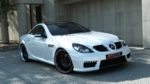 Grilles de PareChocs Avant Pour Mercedes SLK R171 – Image 2